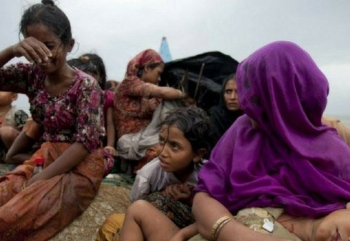 Why Do Refugees Show Higher Percentage Of PTSD? (EDITORS CHOICE)